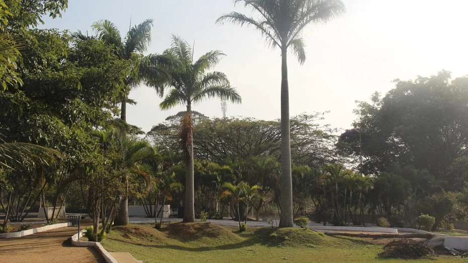 Parques Municipais de Taubaté reabrem em dias de semana