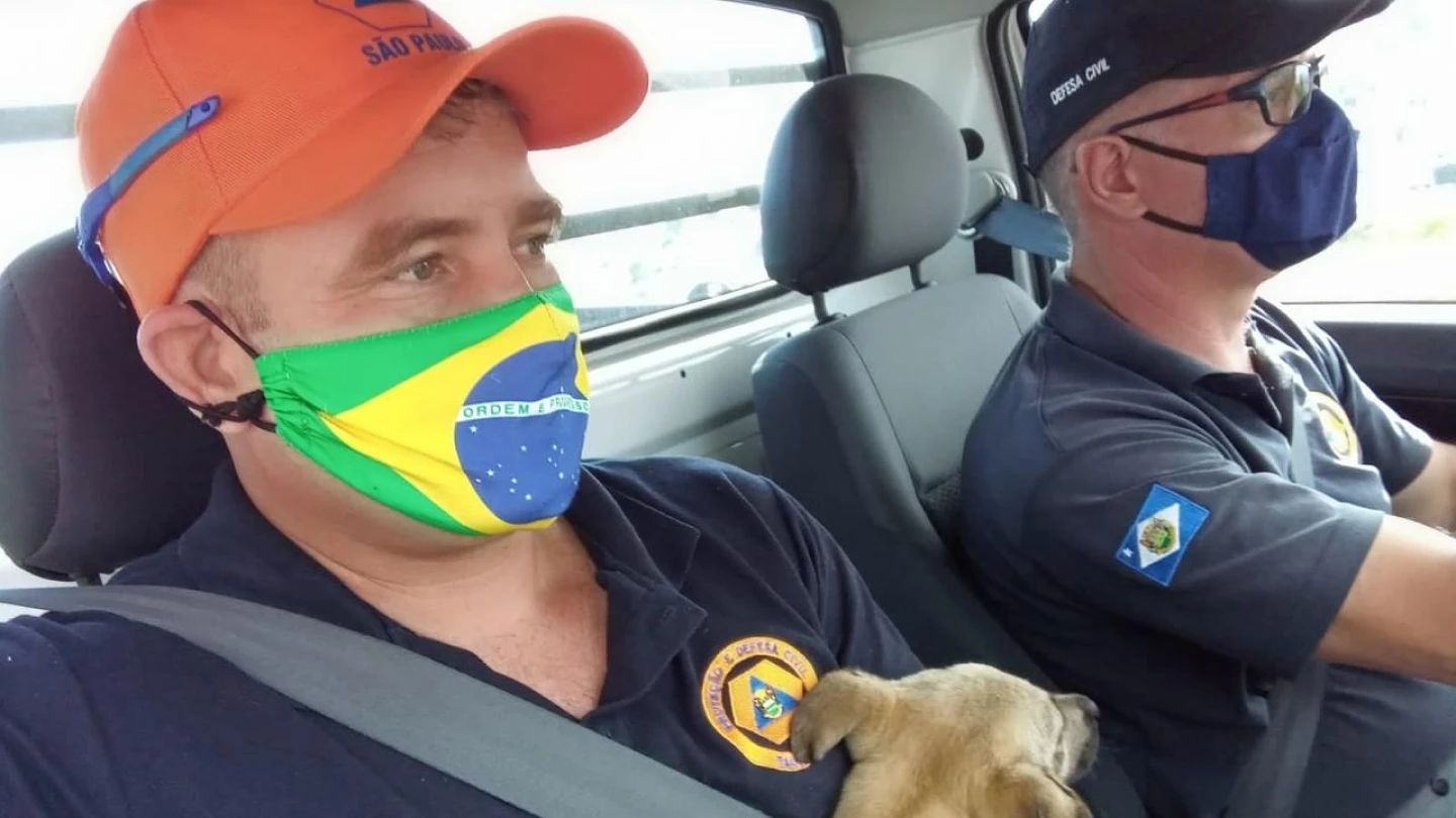Agente da Defesa Civil de Taubaté resgata filhote de cão abandonado