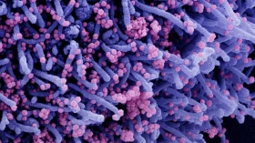 Média móvel de óbitos por covid-19 é a menor desde abril de 2020 Média móvel de óbitos por covid-19 é a menor desde abril de 2020