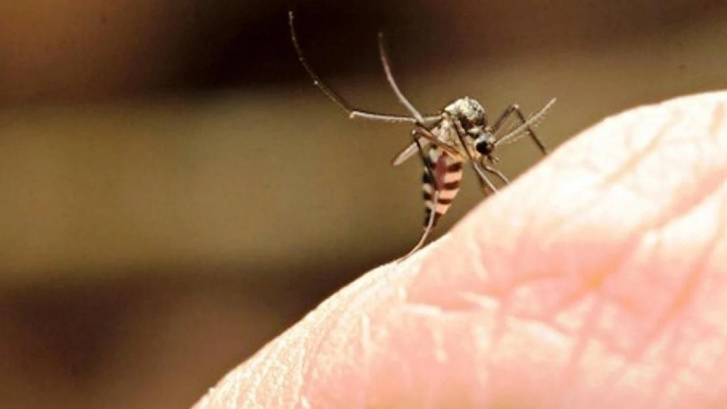 Ação contra o mosquito da dengue é destaque no Cras São Gonçalo