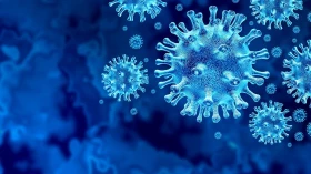 Taubaté chega ao 11º dia seguido sem registro de óbitos por Covid