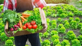 Evento para produtores da agricultura familiar é promovido em Taubaté