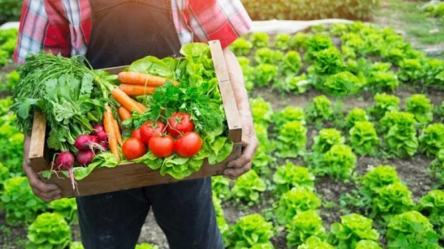 Evento para produtores da agricultura familiar é promovido em Taubaté