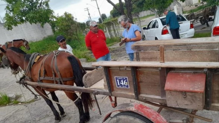 Fiscalização termina com duas carroças apreendidas em Taubaté Fiscalização termina com duas carroças apreendidas em Taubaté