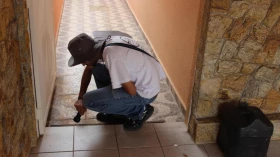 Aedes Aegypti: Taubaté divulga ADL de janeiro