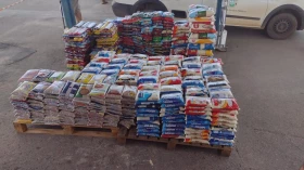 Feirão “Mesa Taubaté” retoma arrecadações com arroz, feijão e macarrão