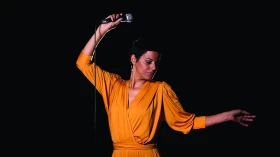 “Tributo à Elis Regina” e outros sucessos agitam o Teatro Metrópole em Taubaté