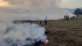 Queimadas: Defesa Civil de Taubaté atendeu 61 ocorrências em julho
