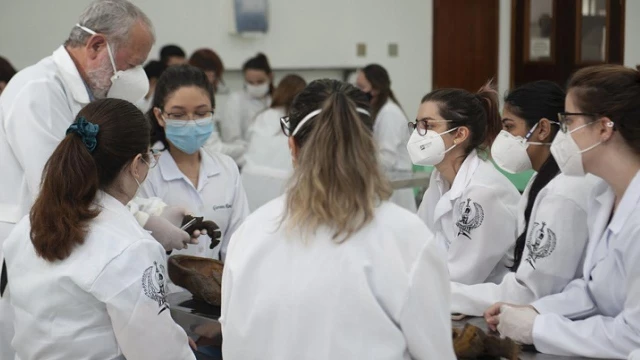 Vestibular: Unitau abre inscrições para curso de Medicina
