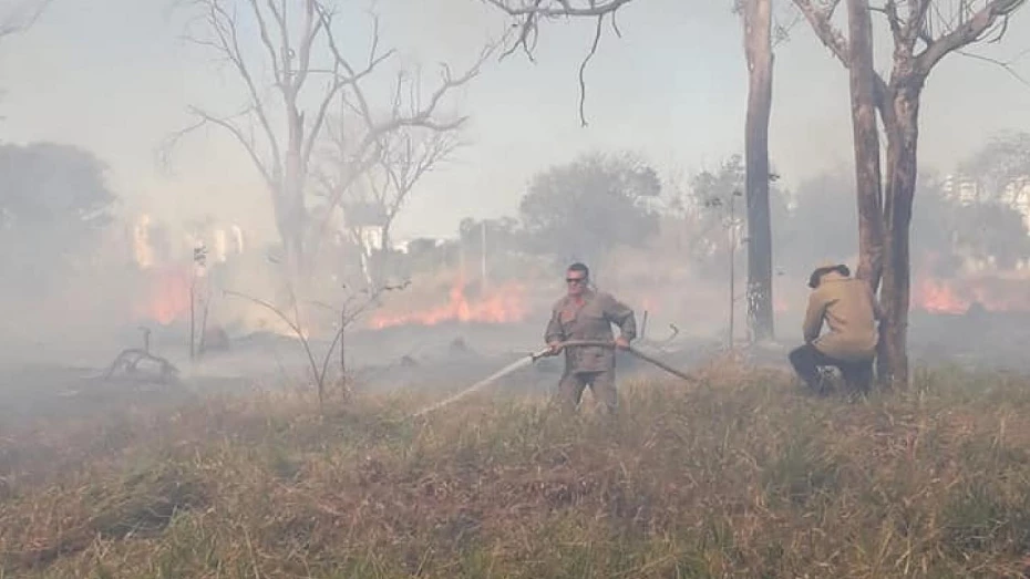 Incêndio em área de mata é controlado após três horas em Taubaté