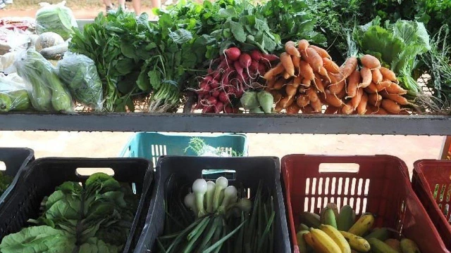 Preço da cesta básica apresenta recuo no Vale do Paraíba