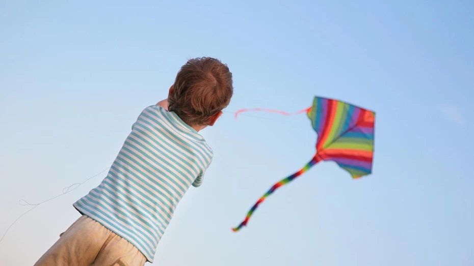 Festival de Pipas deverá ser incluído no calendário oficial de Taubaté Festival de Pipas deverá ser incluído no calendário oficial de Taubaté