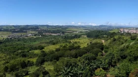Dia da Árvore será celebrado em Taubaté