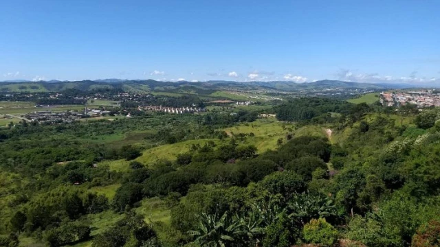 Dia da Árvore será celebrado em Taubaté