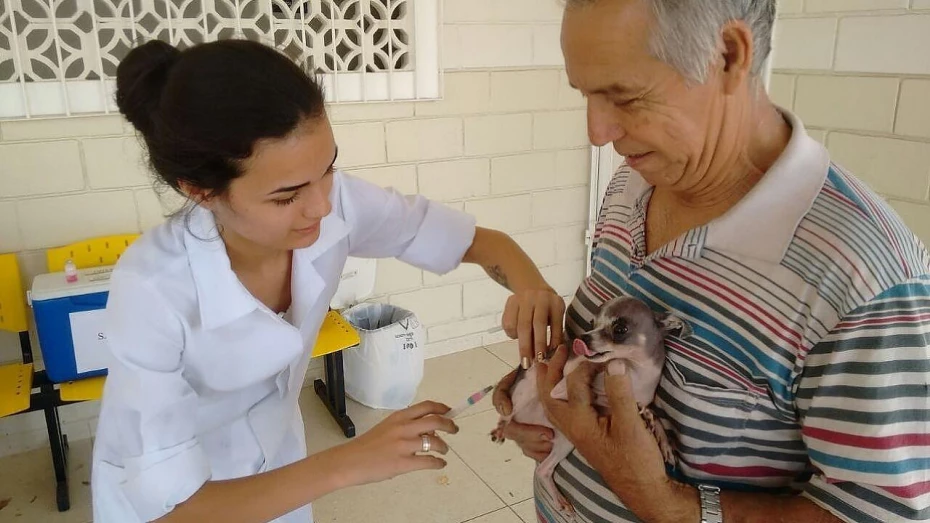 Vacinação antirrábica chega aos bairros Santa Tereza e São Gonçalo Vacinação antirrábica chega aos bairros Santa Tereza e São Gonçalo