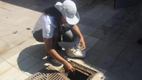 Taubaté promove arrastão de combate ao mosquito da dengue 