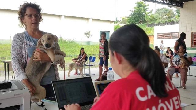Mutirão castra mais de 2 mil animais em Taubaté