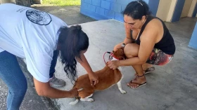 Bairro Chácaras Reunidas recebe etapa da vacinação antirrábica em Taubaté