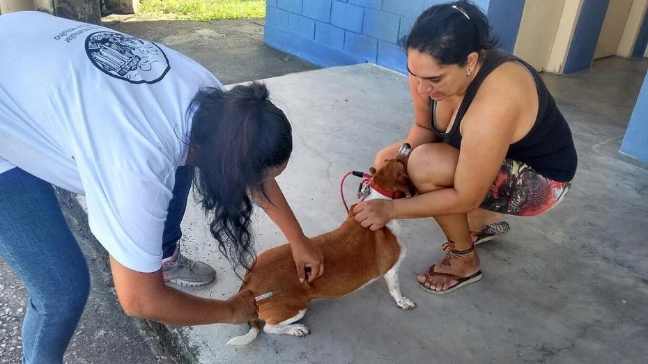 Bairro Chácaras Reunidas recebe etapa da vacinação antirrábica em Taubaté