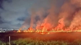 Bombeiros são mobilizados em Taubaté após queimadas em duas regiões Bombeiros são mobilizados em Taubaté após queimadas em duas regiões