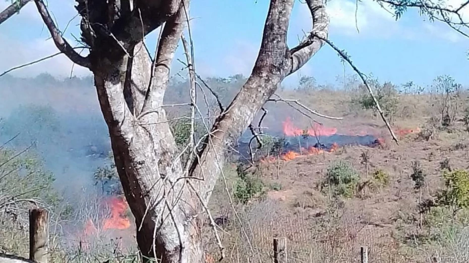 Queimada em Taubaté atinge área aproximada a 55 campos de futebol