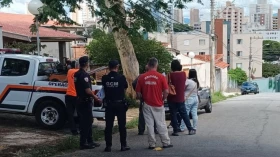 Ação contra árvore em Taubaté resulta em multa de R$ 772