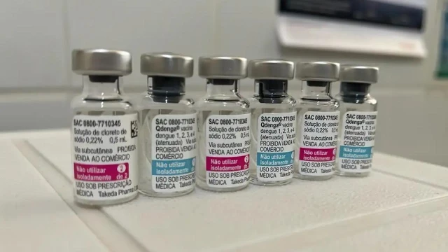 Vacinação contra dengue vai priorizar faixa etária de 6 a 16 anos