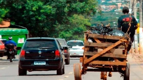 TAC da Tração Animal passa a valer no dia 17 em Taubaté TAC da Tração Animal passa a valer no dia 17 em Taubaté