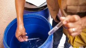 Saúde passa a recomendar testes rápidos para diagnóstico de dengue