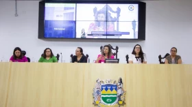 Audiência na Câmara de Taubaté debate perda gestacional