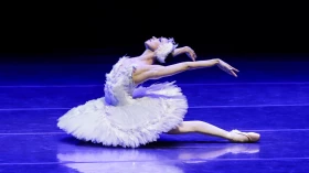 Festival de Dança traz espetáculos gratuitos para Taubaté