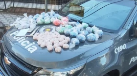 Polícia Militar apreende 6 kg de drogas com ajuda de cão em Taubaté