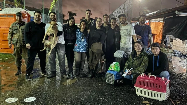 Veterinários de Taubaté retornam de Canoas com três cães adotados