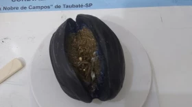 Polícia Penal do CDP de Taubaté apreende droga com visitante de detento