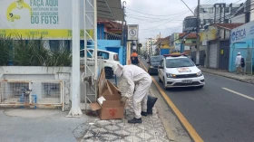 Defesa Civil é acionada para remover um enxame de abelhas em Taubaté