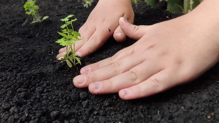 Taubaté recebe programação para Semana do Meio Ambiente