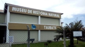 Museu de História Natural de Taubaté abre inscrições para concurso de desenho