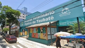 TCE-SP suspende chamamento público para Clínica Veterinária em Taubaté