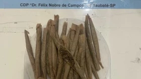 Mulher é flagrada tentando entrar com drogas na Penitenciária de Taubaté