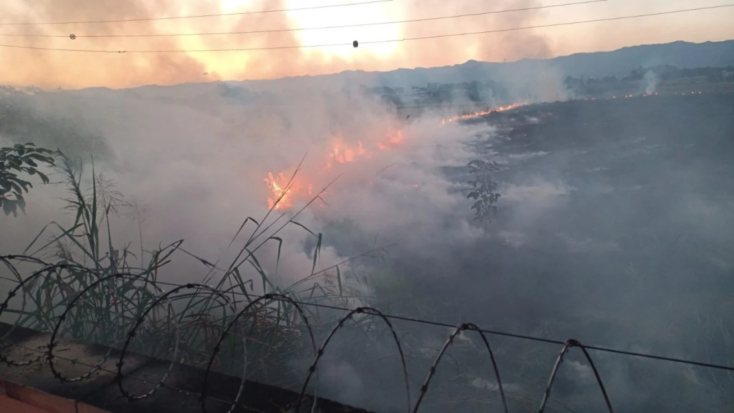 Defesa Civil alerta para risco elevado de incêndios em Taubaté e região
