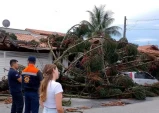 Temporal causa quedas de árvores, alagamentos e estragos em Taubaté e região