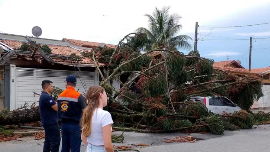 Temporal causa quedas de árvores, alagamentos e estragos em Taubaté e região