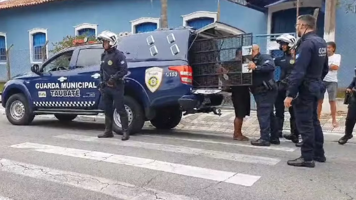 Homem é preso em flagrante por furto de fiação elétrica no Museu de Imagem e Som de Taubaté