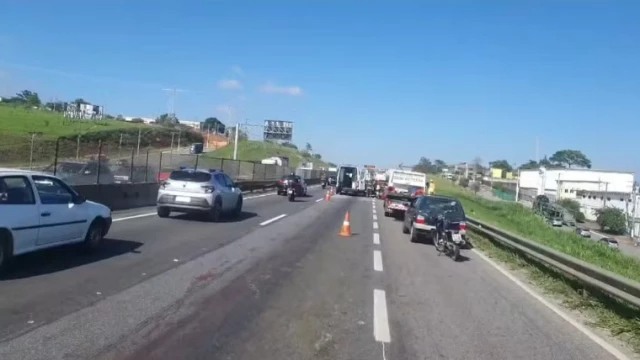 Acidente após atropelamento de capivara causa congestionamento na Via Dutra em Taubaté
