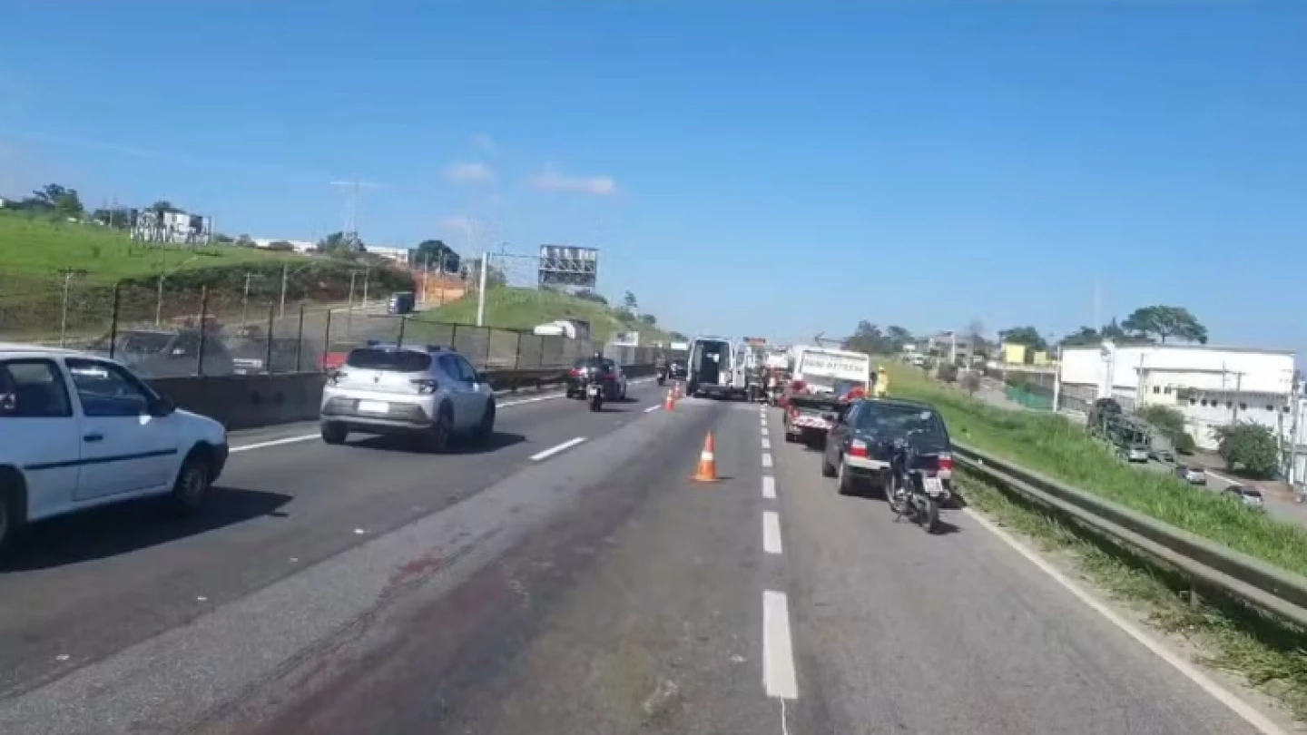 Acidente após atropelamento de capivara causa congestionamento na Via Dutra em Taubaté