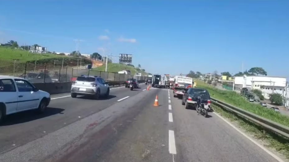 Acidente após atropelamento de capivara causa congestionamento na Via Dutra em Taubaté Acidente após atropelamento de capivara causa congestionamento na Via Dutra em Taubaté