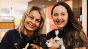 Taubaté Shopping promove adoção responsável de cães e gatos neste sábado