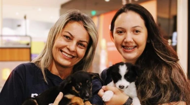 Taubaté Shopping promove adoção responsável de cães e gatos neste sábado