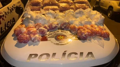 Polícia Militar apreende 116 kg de drogas em Taubaté