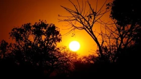 Vale do Paraíba segue sob forte calor nesta semana; Taubaté pode registrar 36°C